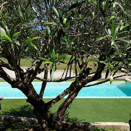 Chambre Saint Emilion - Le Clos D'Antan Les Artigues-de-Lussac エクステリア 写真